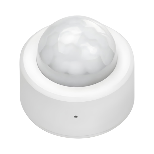 Motion Sensor